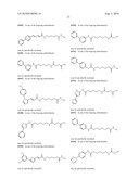 Isoform Selective HDAC Inhibitors diagram and image