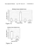 NOVEL PEPTIDES AND METHODS FOR PRODUCING THEM diagram and image