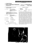 METHOD FOR PRODUCING HOLLOW STRUCTUAL BODY diagram and image