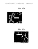 METHOD FOR PRODUCING HOLLOW STRUCTUAL BODY diagram and image