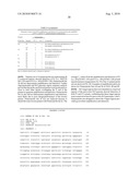 HUMAN ERYTHROVIRUS diagram and image