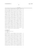 HUMAN ERYTHROVIRUS diagram and image