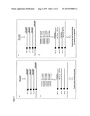 Genotyping Using Multiple Variant-Specific Primer Pools diagram and image