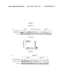 MARKERS TO PREDICT AND MONITOR RESPONSE TO AURORA KINASE B INHIBITOR THERAPY diagram and image