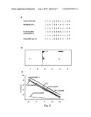 PEPTIDES, ANTIBODIES AND FRAGMENTS THEREOF FOR THE TREATMENT AND DIAGNOSTIC OF CELIAC DISEASE diagram and image