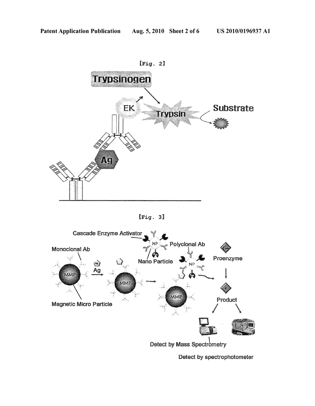 CASCADE ENZYME-LINKED IMMUNOSORBENT ASSAY - diagram, schematic, and image 03