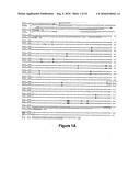 IDENTIFICATION AND CHARACTERIZATION OF RACEMASES, DEFINITION OF PROTEIN SIGNATURES, AND A TEST FOR DETECTING D-AMINO ACID AND FOR SCREENING MOLECULES CAPABLE OF INHIBITING THE ACTIVITY OF RACEMASE, ESPECIALLY PROLINE RACEMASE diagram and image