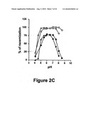 IDENTIFICATION AND CHARACTERIZATION OF RACEMASES, DEFINITION OF PROTEIN SIGNATURES, AND A TEST FOR DETECTING D-AMINO ACID AND FOR SCREENING MOLECULES CAPABLE OF INHIBITING THE ACTIVITY OF RACEMASE, ESPECIALLY PROLINE RACEMASE diagram and image