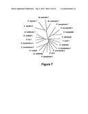 IDENTIFICATION AND CHARACTERIZATION OF RACEMASES, DEFINITION OF PROTEIN SIGNATURES, AND A TEST FOR DETECTING D-AMINO ACID AND FOR SCREENING MOLECULES CAPABLE OF INHIBITING THE ACTIVITY OF RACEMASE, ESPECIALLY PROLINE RACEMASE diagram and image