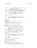 IDENTIFICATION AND CHARACTERIZATION OF RACEMASES, DEFINITION OF PROTEIN SIGNATURES, AND A TEST FOR DETECTING D-AMINO ACID AND FOR SCREENING MOLECULES CAPABLE OF INHIBITING THE ACTIVITY OF RACEMASE, ESPECIALLY PROLINE RACEMASE diagram and image