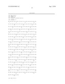 IDENTIFICATION AND CHARACTERIZATION OF RACEMASES, DEFINITION OF PROTEIN SIGNATURES, AND A TEST FOR DETECTING D-AMINO ACID AND FOR SCREENING MOLECULES CAPABLE OF INHIBITING THE ACTIVITY OF RACEMASE, ESPECIALLY PROLINE RACEMASE diagram and image