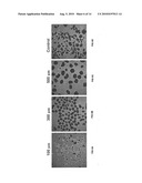 METHOD FOR CULTURING STEM CELLS diagram and image