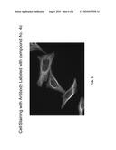 XANTHENE DYES COMPRISING A SULFONAMIDE GROUP diagram and image