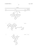 XANTHENE DYES COMPRISING A SULFONAMIDE GROUP diagram and image