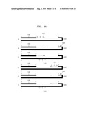 METHOD OF ANALYZING A TARGET NUCLEIC ACID SEQUENCE diagram and image