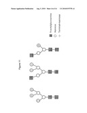 DEMANNOSYLATED RECOMBINANT FACTOR VIII [[VII]] FOR THE TREATMENT OF PATIENTS WITH HAEMOPHILIA A diagram and image