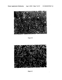 COMPOUNDS THAT INHIBIT OESTRONE SULPHATASE; COMPOSITIONS THEREOF; AND METHODS EMPLOYING THE SAME diagram and image