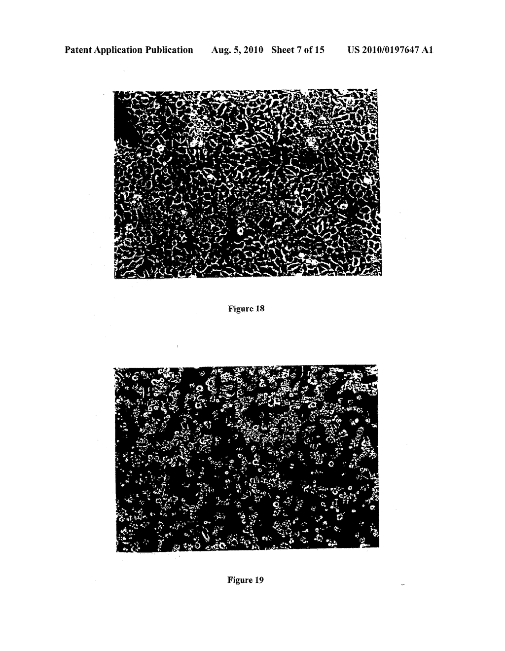 COMPOUNDS THAT INHIBIT OESTRONE SULPHATASE; COMPOSITIONS THEREOF; AND METHODS EMPLOYING THE SAME - diagram, schematic, and image 08