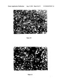 COMPOUNDS THAT INHIBIT OESTRONE SULPHATASE; COMPOSITIONS THEREOF; AND METHODS EMPLOYING THE SAME diagram and image