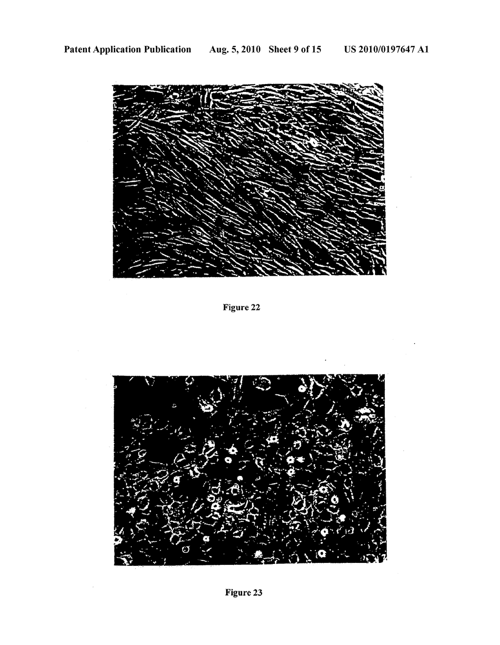 COMPOUNDS THAT INHIBIT OESTRONE SULPHATASE; COMPOSITIONS THEREOF; AND METHODS EMPLOYING THE SAME - diagram, schematic, and image 10