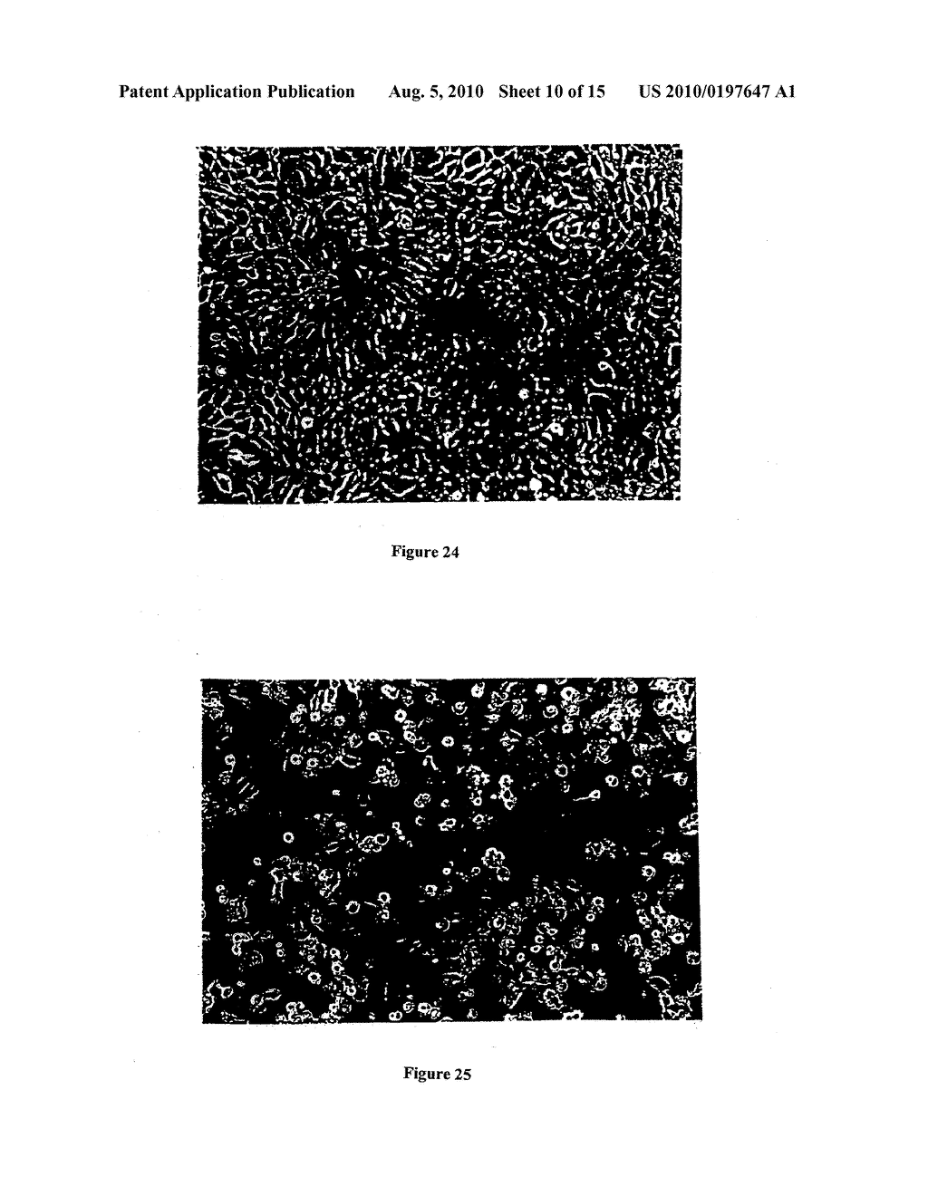 COMPOUNDS THAT INHIBIT OESTRONE SULPHATASE; COMPOSITIONS THEREOF; AND METHODS EMPLOYING THE SAME - diagram, schematic, and image 11