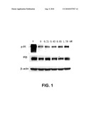 Protein Tyrosine Phosphatase 1B Inhibitor, Preparation Methods and Uses Thereof diagram and image