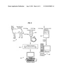 METHOD AND APPARATUS FOR PHYSIOLOGICAL ASSESSMENT IN MAMMALS diagram and image