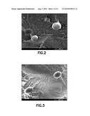 MICROCELLULAR INJECTION MOLDING PROCESSES FOR PERSONAL AND CONSUMER CARE PRODUCTS AND PACKAGING diagram and image