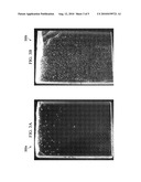 APPARATUS AND METHOD FOR REDUCING GASEOUS INCLUSIONS IN A GLASS diagram and image