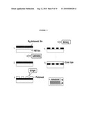 MICROFLUIDIC SENSOR COMPLEX STRUCTURE diagram and image