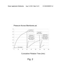 FILTERS FOR SELECTIVE REMOVAL OF LARGE PARTICLES FROM PARTICLE SLURRIES diagram and image