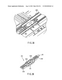 PAPER FEEDING APPARATUS WITH PAPER SIZE DETECTORS diagram and image