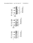 LIGHT EMITTING DEVICE diagram and image