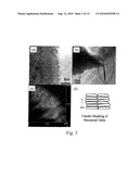 POROUS FILAMENTOUS NANOCARBON AND METHOD OF FORMING THE SAME diagram and image