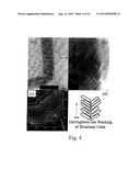 POROUS FILAMENTOUS NANOCARBON AND METHOD OF FORMING THE SAME diagram and image