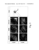 POROUS FILAMENTOUS NANOCARBON AND METHOD OF FORMING THE SAME diagram and image