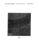 POROUS FILAMENTOUS NANOCARBON AND METHOD OF FORMING THE SAME diagram and image