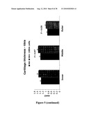 METHODS OF GENERATING, REPAIRING AND/OR MAINTAINING CONNECTIVE TISSUE IN VIVO diagram and image