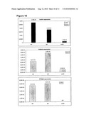 PROVISION OF NEW CARDIOMYOCYTE PROGENITOR CELLS AND CARDIOMYOCYTES DERIVED THEREFROM diagram and image