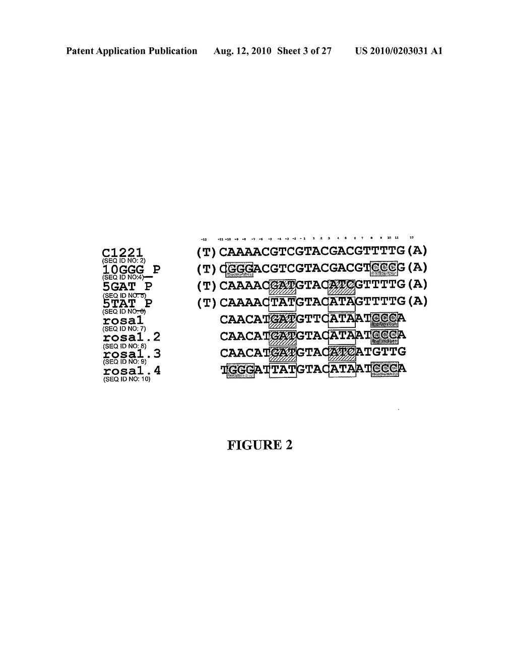 METHOD FOR ENHANCING THE CLEAVAGE ACTIVITY OF I-CREI DERIVED MEGANUCLEASES - diagram, schematic, and image 04