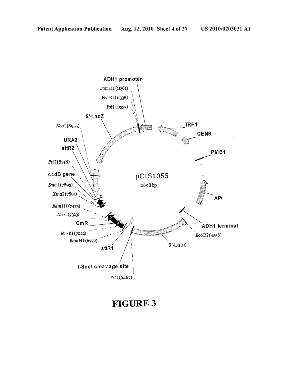 METHOD FOR ENHANCING THE CLEAVAGE ACTIVITY OF I-CREI DERIVED MEGANUCLEASES - diagram, schematic, and image 05
