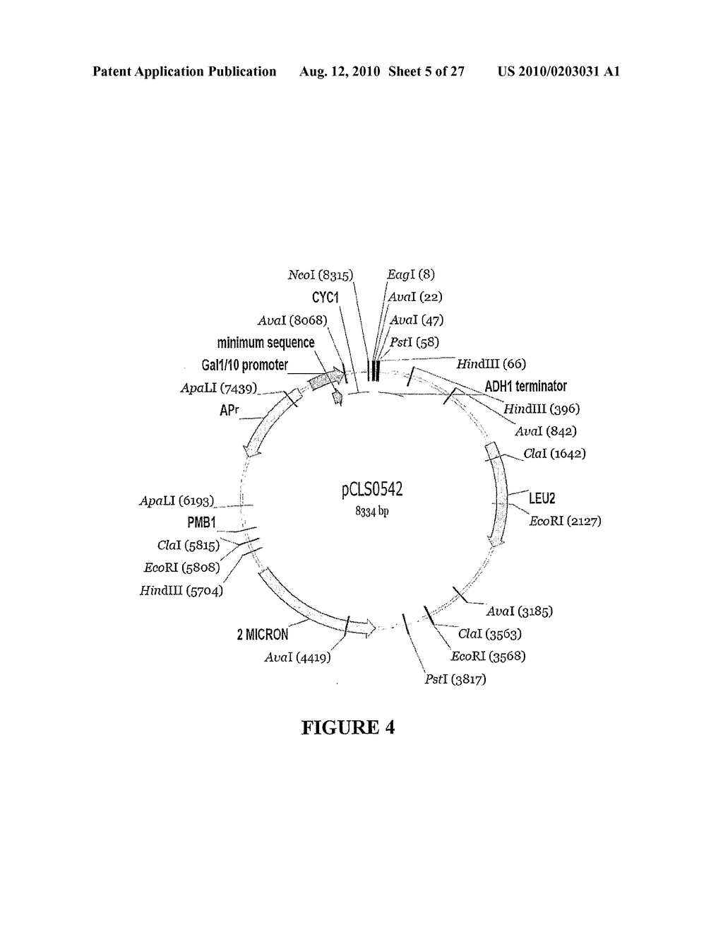 METHOD FOR ENHANCING THE CLEAVAGE ACTIVITY OF I-CREI DERIVED MEGANUCLEASES - diagram, schematic, and image 06