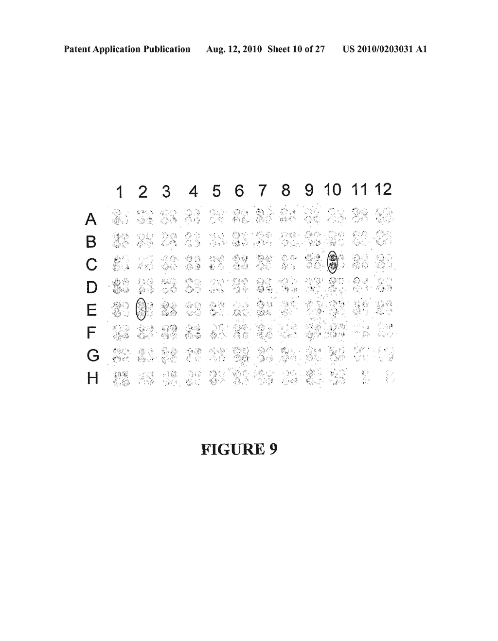 METHOD FOR ENHANCING THE CLEAVAGE ACTIVITY OF I-CREI DERIVED MEGANUCLEASES - diagram, schematic, and image 11