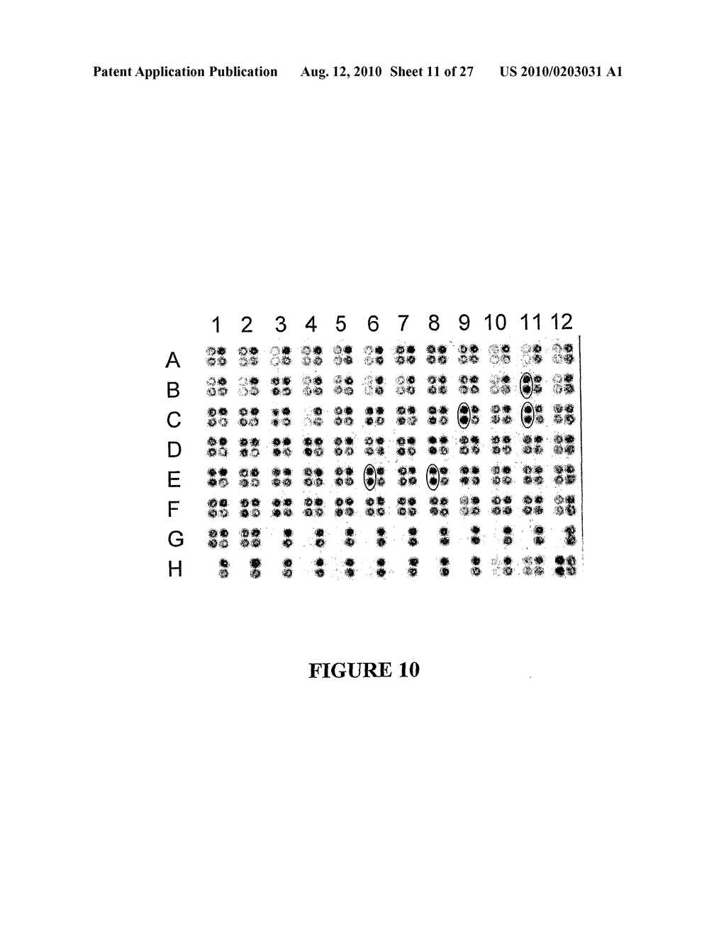 METHOD FOR ENHANCING THE CLEAVAGE ACTIVITY OF I-CREI DERIVED MEGANUCLEASES - diagram, schematic, and image 12