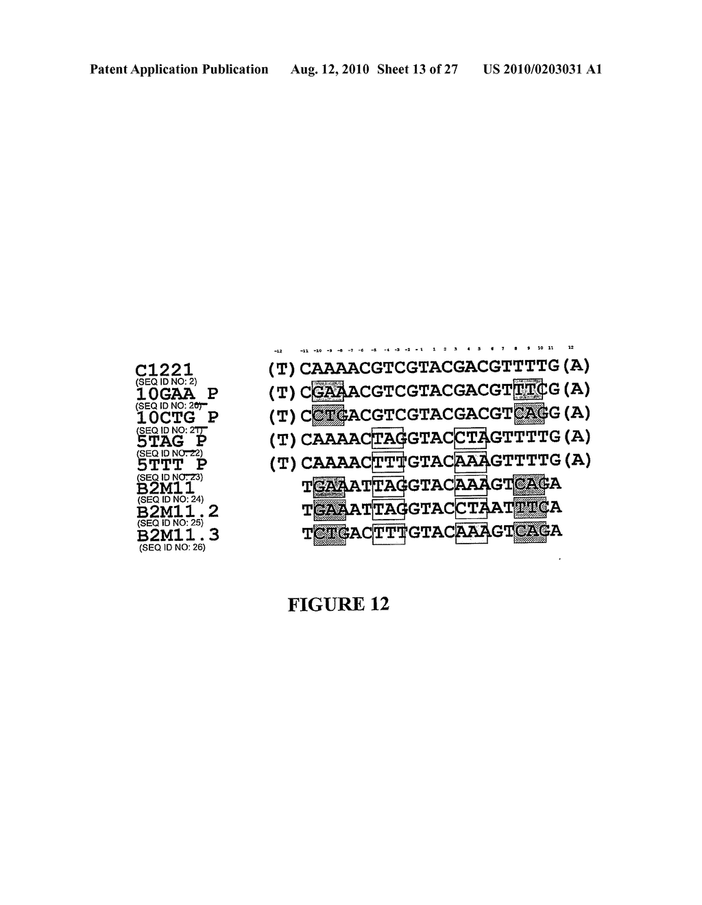 METHOD FOR ENHANCING THE CLEAVAGE ACTIVITY OF I-CREI DERIVED MEGANUCLEASES - diagram, schematic, and image 14