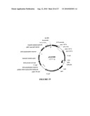 METHOD FOR ENHANCING THE CLEAVAGE ACTIVITY OF I-CREI DERIVED MEGANUCLEASES diagram and image