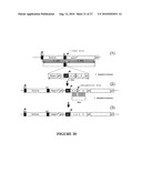 METHOD FOR ENHANCING THE CLEAVAGE ACTIVITY OF I-CREI DERIVED MEGANUCLEASES diagram and image