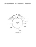 METHOD FOR ENHANCING THE CLEAVAGE ACTIVITY OF I-CREI DERIVED MEGANUCLEASES diagram and image