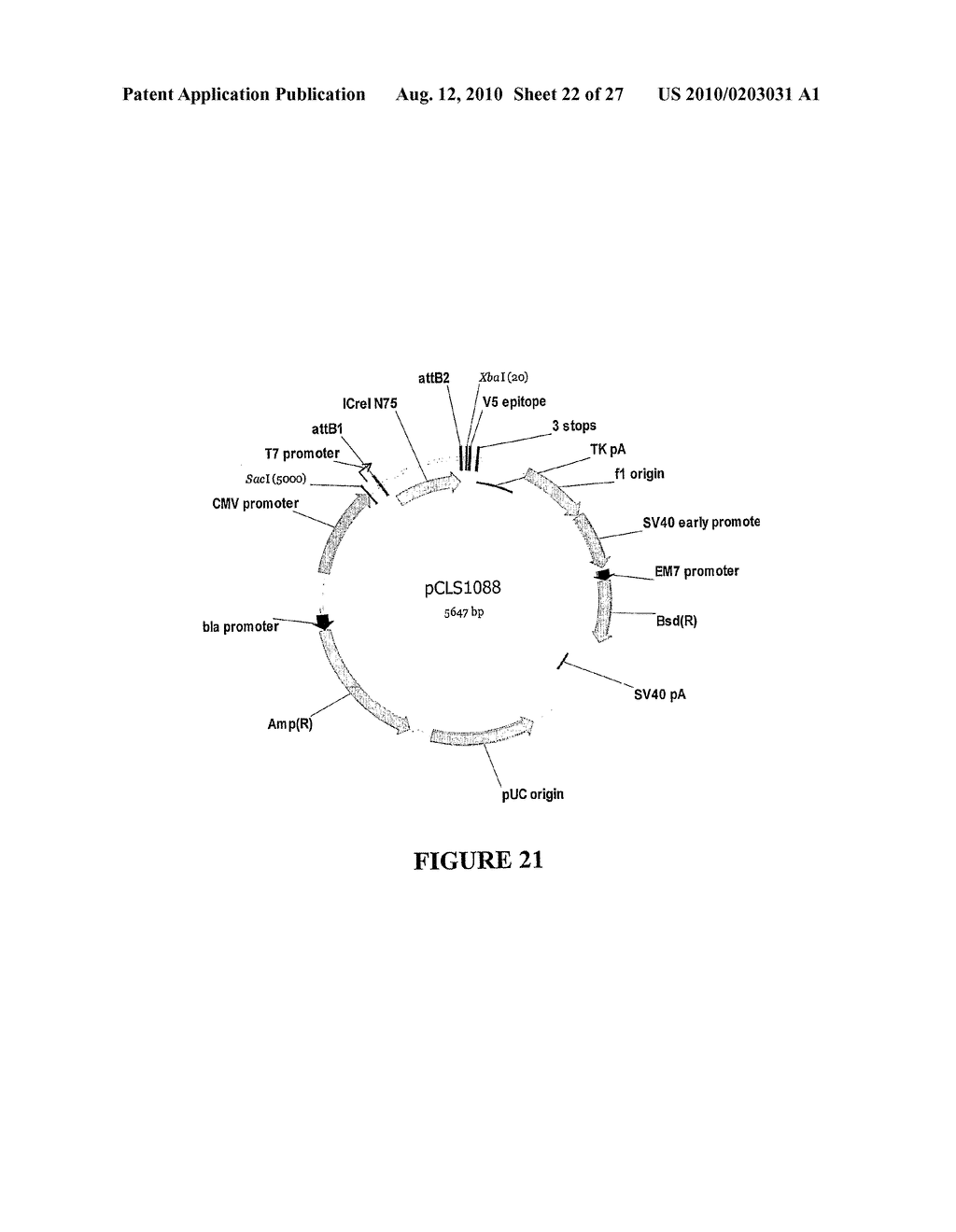 METHOD FOR ENHANCING THE CLEAVAGE ACTIVITY OF I-CREI DERIVED MEGANUCLEASES - diagram, schematic, and image 23