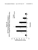 METHODS OF USING GPR119 TO IDENTIFY COMPOUNDS USEFUL FOR INCREASING BONE MASS IN AN INDIVIDUAL diagram and image